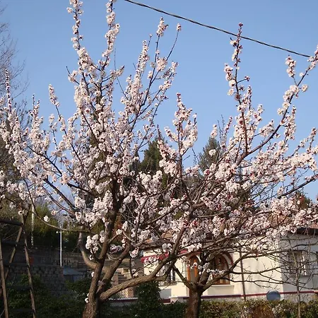 Sporting Ragno D'oro 호텔 3*