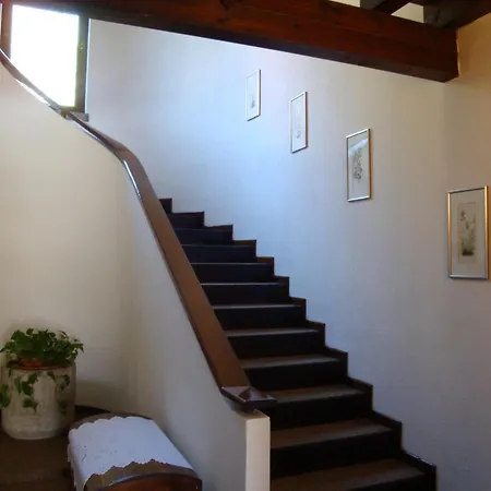 호텔 Sporting Ragno D'oro 3*