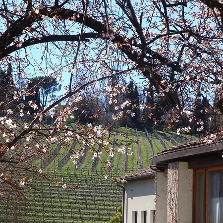 Hotel Sporting Ragno D'oro