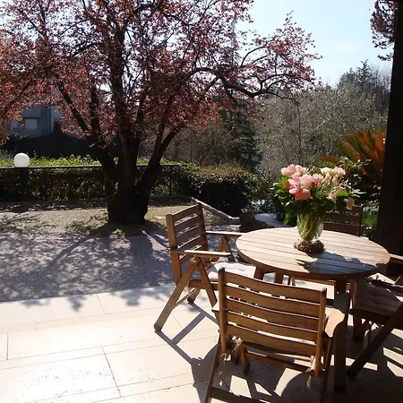 Sporting Ragno D'oro