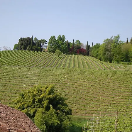 Sporting Ragno D'oro