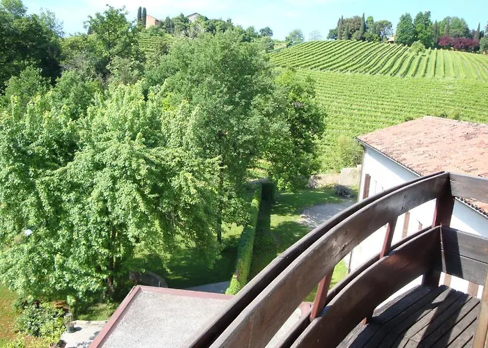 Sporting Ragno D'oro