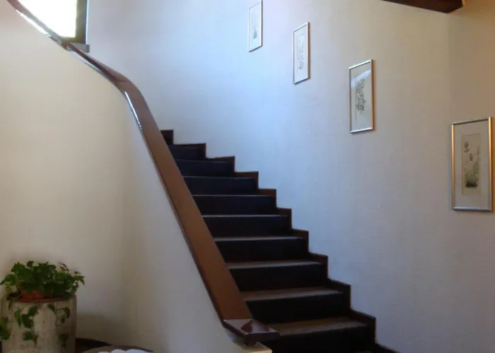 Hotel Sporting Ragno D'oro 3*