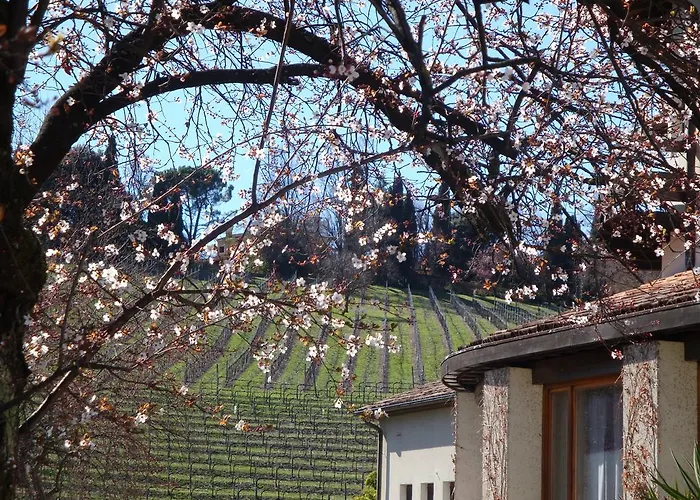 Hotel Sporting Ragno D'oro