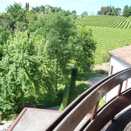 Sporting Ragno D'oro