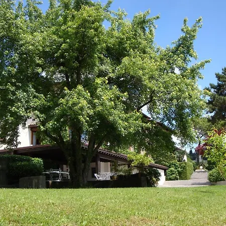 Sporting Ragno D'oro 3* Conegliano