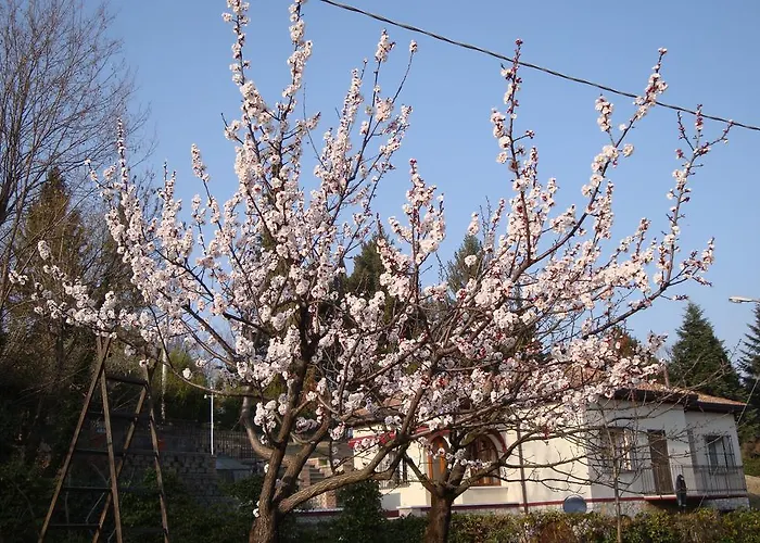 Sporting Ragno D'oro Hotel 3*